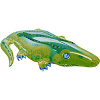 Alligator