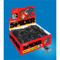 Spiders