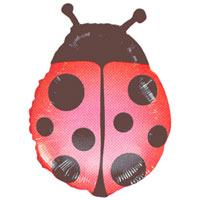 Lady Bug