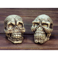 Skulls