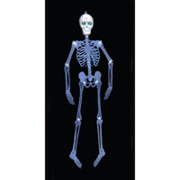Skeletons